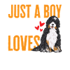 Bernedoodle Dog