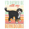 Chien Bernedoodle