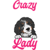 Bernedoodle Dog