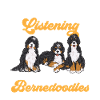 Bernedoodle Dog