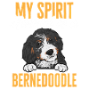 Bernedoodle Hund