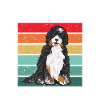 Bernedoodle Dog