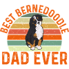 Bernedoodle Hund