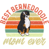 Bernedoodle Dog