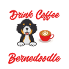Bernedoodle Dog