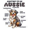 Anatomie d’un berger australien