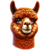 Alpaca