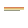 Alger Algérie Rétro Algérienne