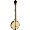 Banjo Bluegrass