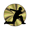 Équipe de cricket