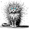 Cat Funny
