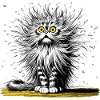 funny cat, laughing, laughing