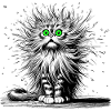 Chat pour se moquer