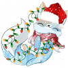 Cute arctic fox gift