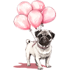 Pug and balloons