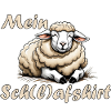 My Sleep Shirt