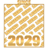 2029