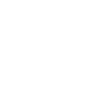 Low-income earners 2025