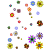 Fleurs, Paix, Harmonie