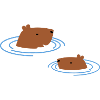Capybara taking a bath