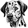 Dalmatien mignon