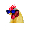 Chicken Daddy Chicken Holder Chickens