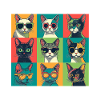 cats style