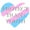 Trans heart - Protect trans youth