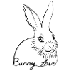 Amour de lapin