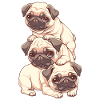 Pug Stack