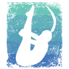 Synchronized Water Diver High Diver