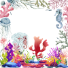 Seahorse