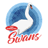 Cygne Cygne amant cygnes cadeau