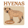 Hyena Hyena Spotted Hyena Gift
