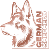 GERMAN SHEPHERD Zeichnung Kopf rosegold