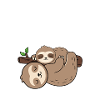Großer Bruder 2024