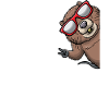 Muskrat