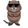 Cute muskrat