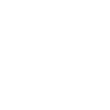 Chien Bernedoodle