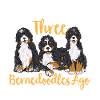 Chien Bernedoodle