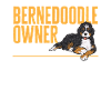Chien Bernedoodle