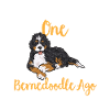 Chien Bernedoodle