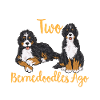 Bernedoodle Dog