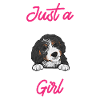 Bernedoodle Dog