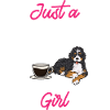 Bernedoodle Dog