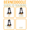 Chien Bernedoodle