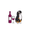 Bernedoodle Dog