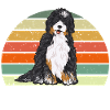 Chien Bernedoodle