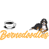 Chien Bernedoodle