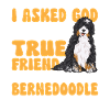 Chien Bernedoodle